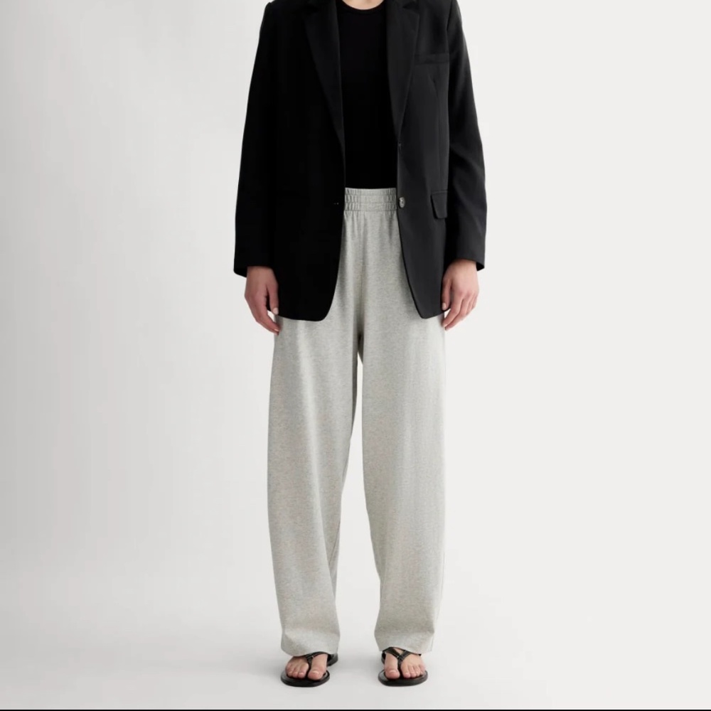 Everlane Large Off-Duty Barrel Pant
